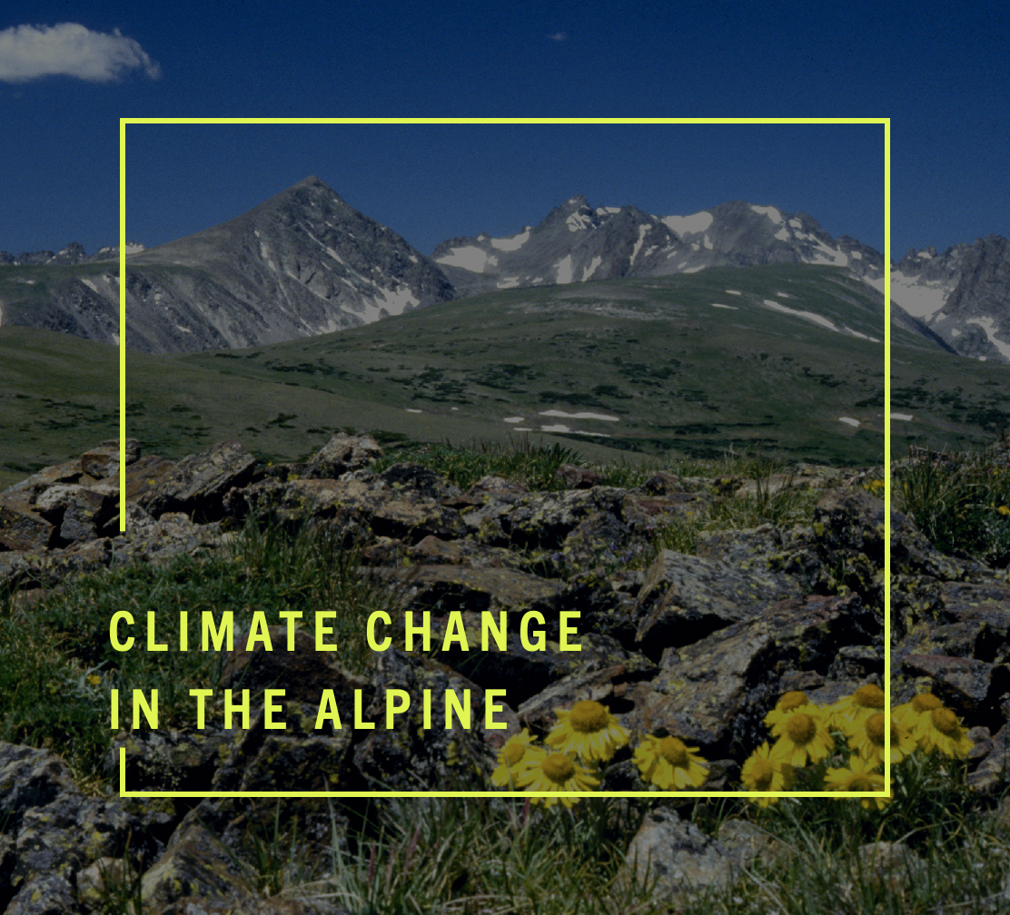 climate_change_alpine