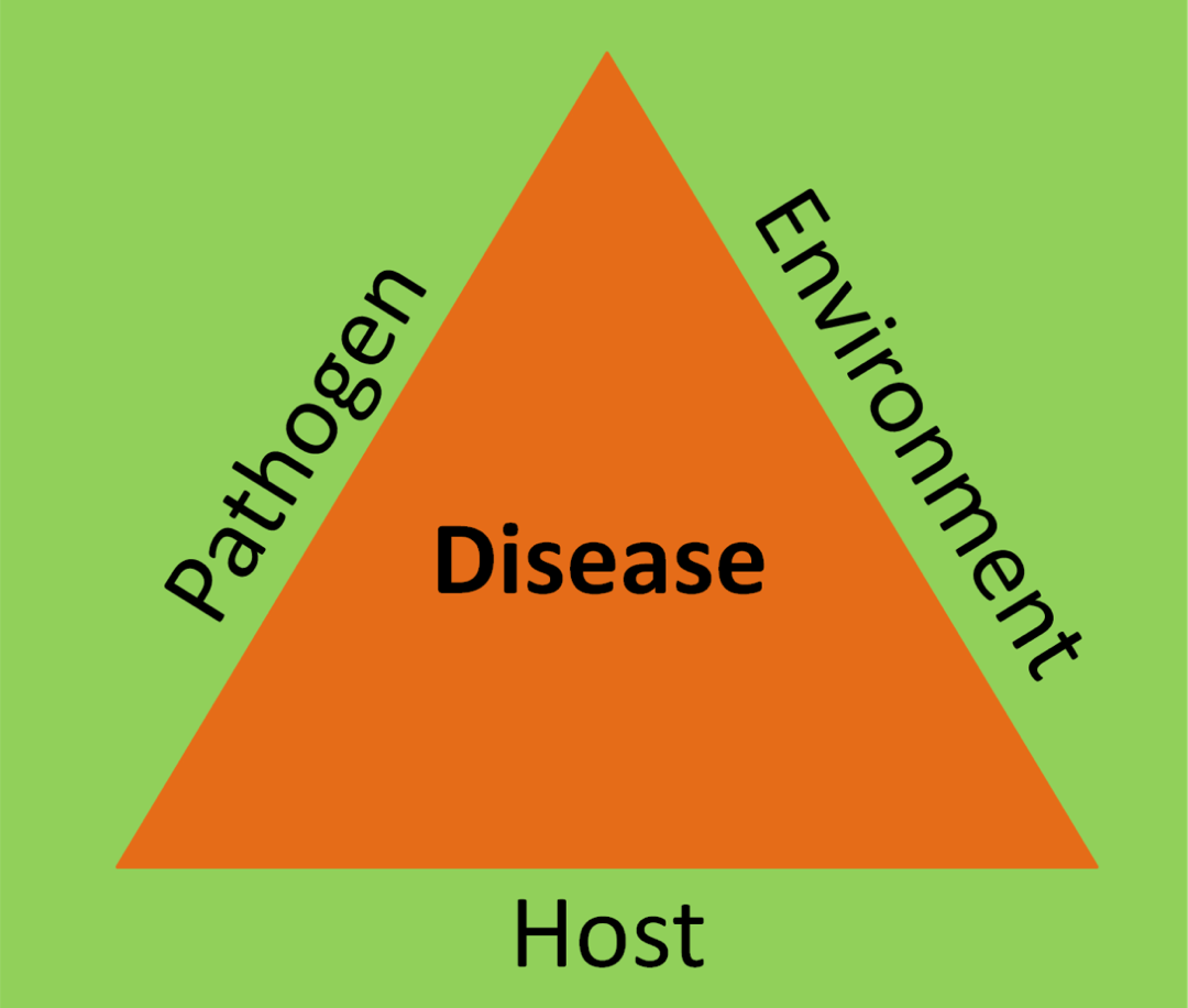 disease_triangle