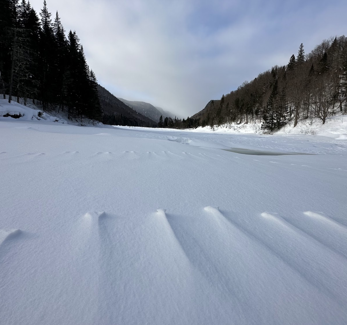 snowscape