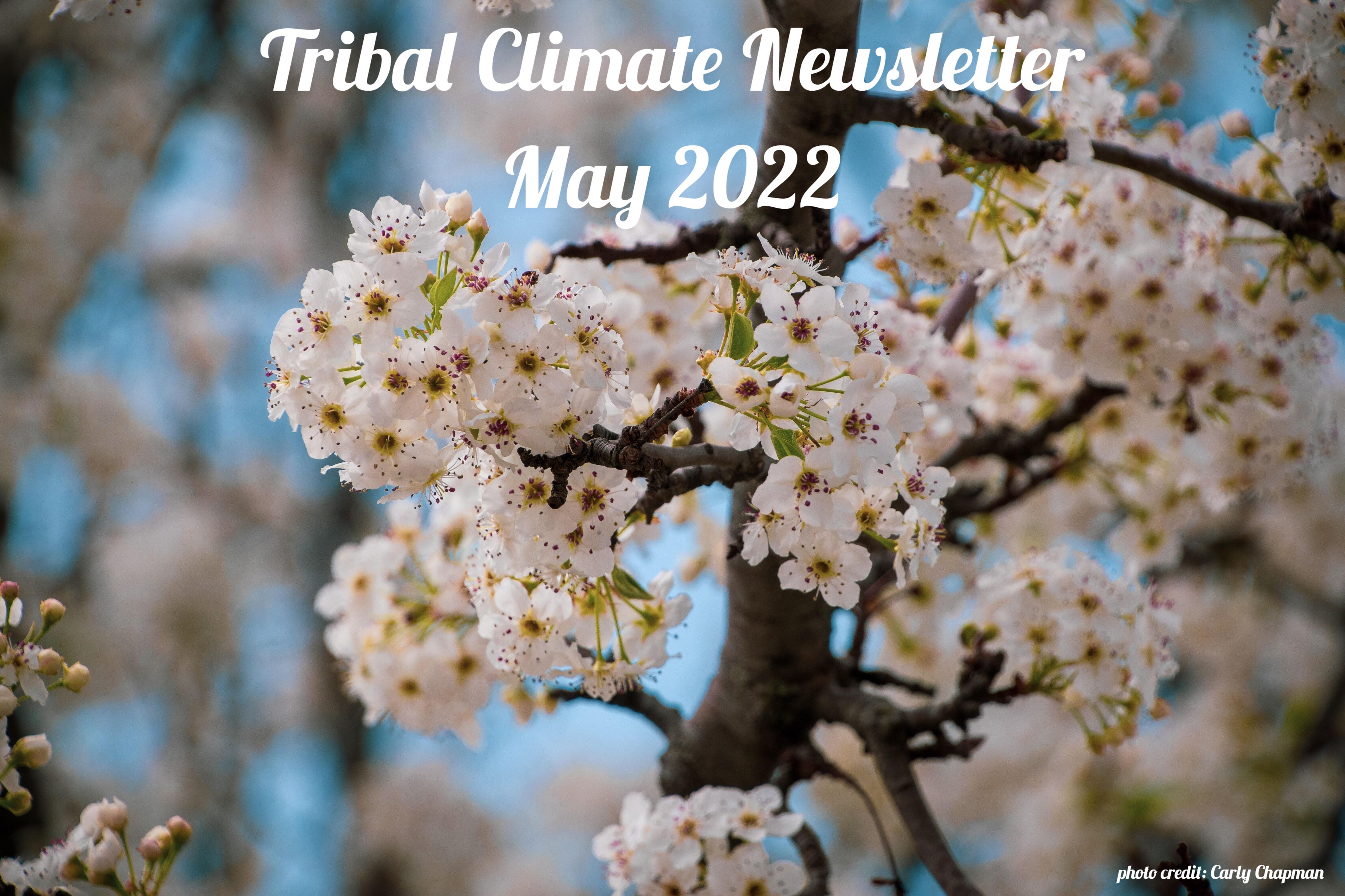 May 2022 Tribal Climate Newsletter