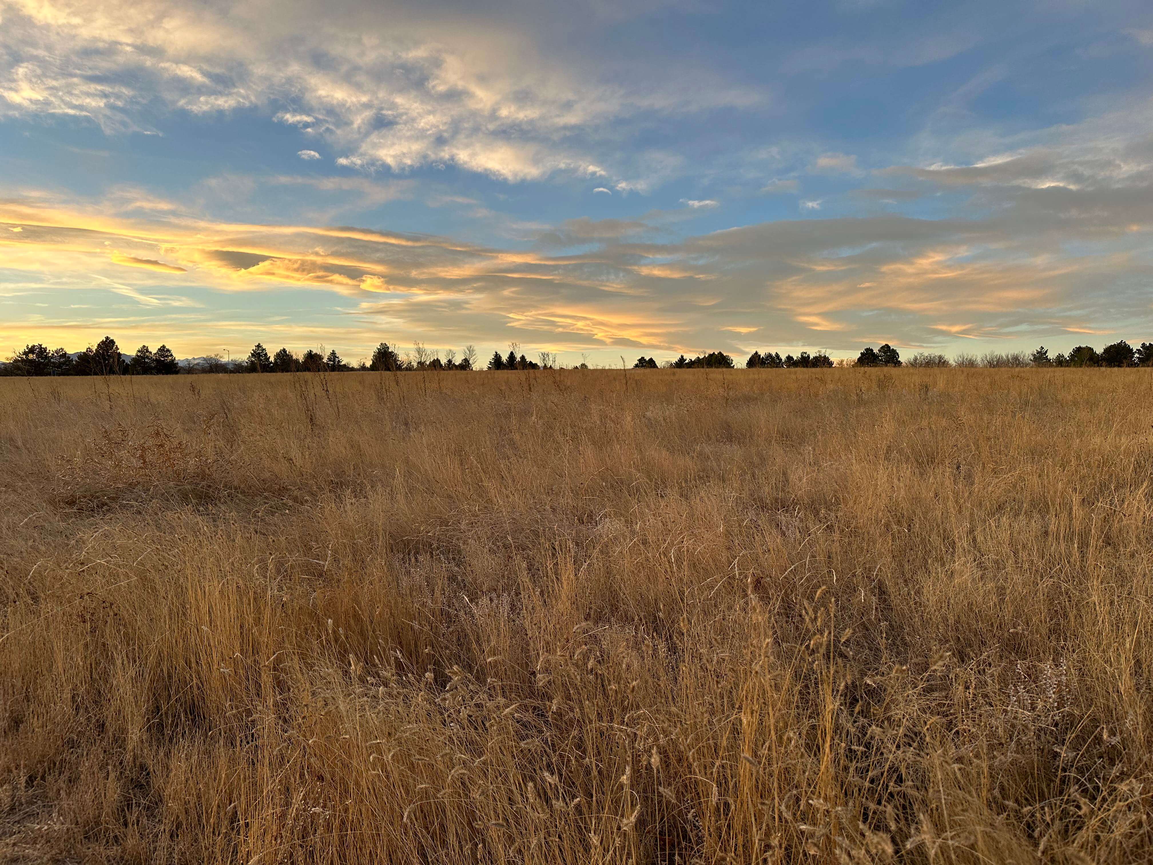 Image of Grassland prairie with sky sunset