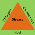 disease_triangle