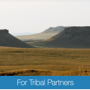tribal partners