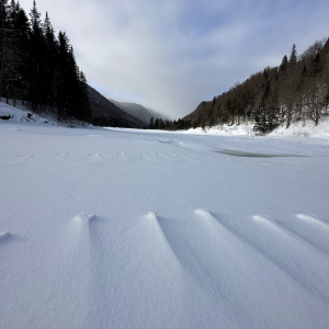 snowscape
